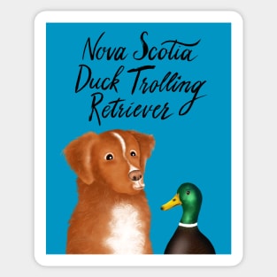 Nova Scotia Duck Trolling Retriever Sticker